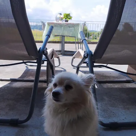 Ancienne Fromagerie فندق Tramelan