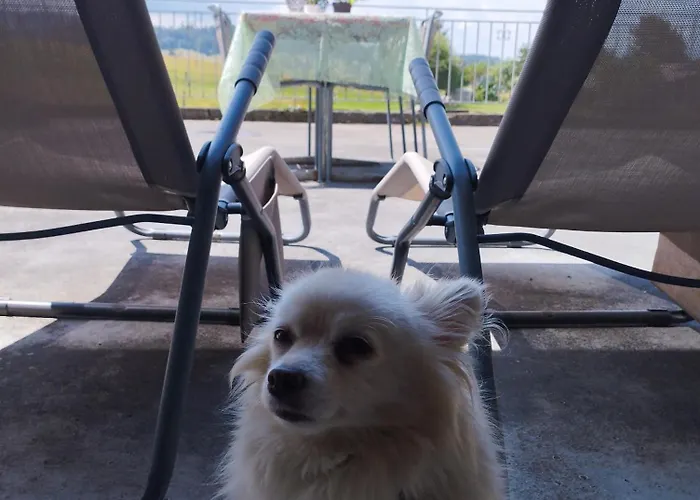 Ancienne Fromagerie מלון Tramelan